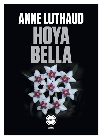 Hoya bella, de Anne Luthaud
