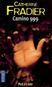 camino-999