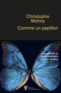comme-un-papillon-christophe-molmy