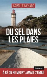 Couverture du Du sel dans les plaies, d'Isabelle Ménard