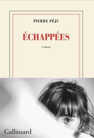 Couverture d'Échappées, de Pierre Péju