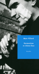 harmonicas-et-chiens-fous-n