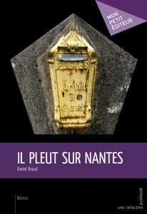 il-pleut-sur-nantes-gf