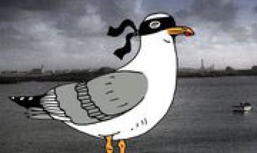 logo-goeland