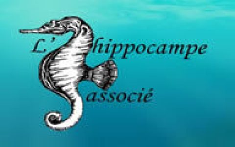 logo_hippocampeassocie