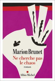 Couverture de Ne cherche pas le chaos, de Marion Brunet