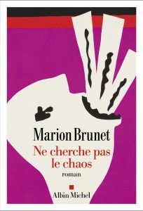 Couverture de Ne cherche pas le chaos, de Marion Brunet
