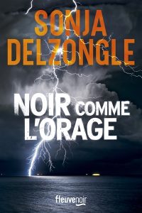 noir-comme-l-orage-sonja-delzongle