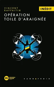 Couverture d'Opération toile d'araignée, de François Raffaitin