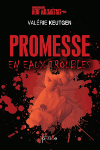 promesse-en-eaux-troubles-gf