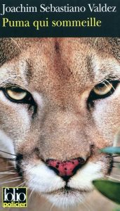puma-qui-sommeille