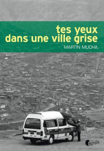 tes-yeux-ville-grise-gf