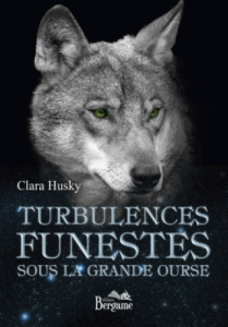 turbulences-extremes-sous-la-grande-ourse-gf